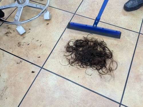 PXL_20250428_045428285