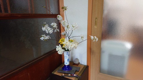 DSC_0001_BURST20200331112821180