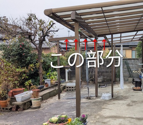 PXL_20251220_044007225~3