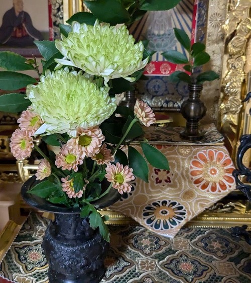 PXL_20240920_050655844.MP