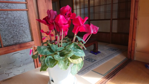 DSC_0001_BURST20200219091846523