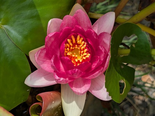 PXL_20250704_030603871