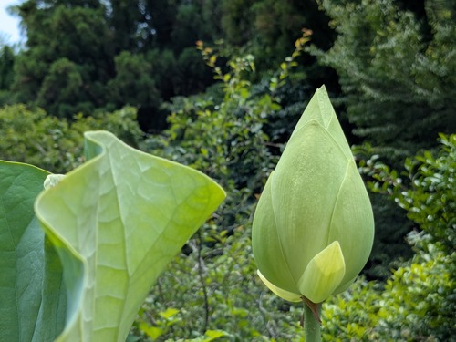 PXL_20250704_030631638