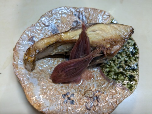 PXL_20241025_083358826