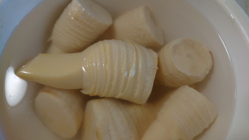 DSC_0001_BURST20200227082107603