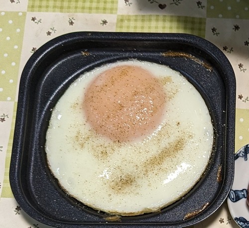 PXL_20231124_225440659~2