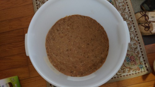 DSC_0001_BURST20230129163547996