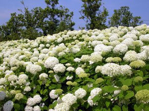 f08f578e.jpg