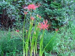 f0b22605.jpg