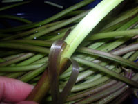 f0d549b5.jpg