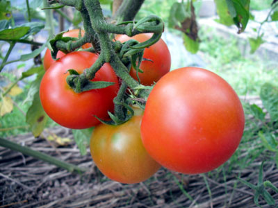f76453ee.jpg