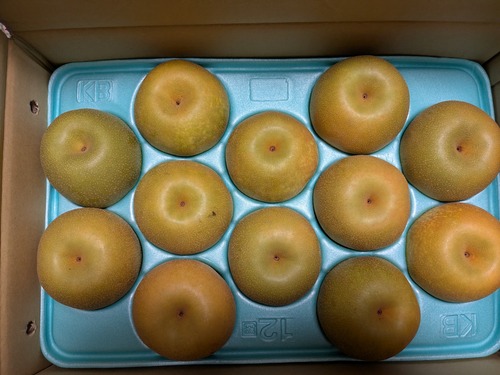 PXL_20250812_060333702