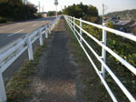 fe36993a.jpg