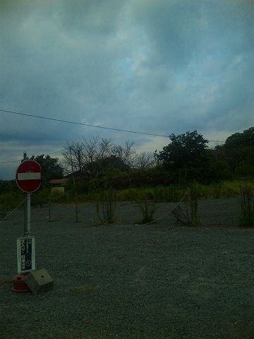 夢に散る青いバラのトゲ 薩摩湖に残るパラの香 鹿児島 シーサイド 蒼い潮風日記