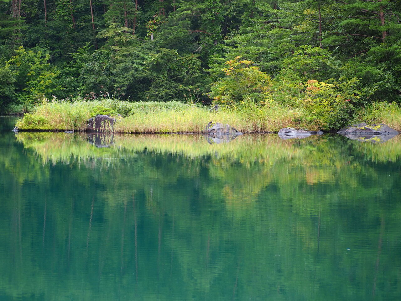 毘沙門沼 五色沼湖沼群 呑ん子の放浪記