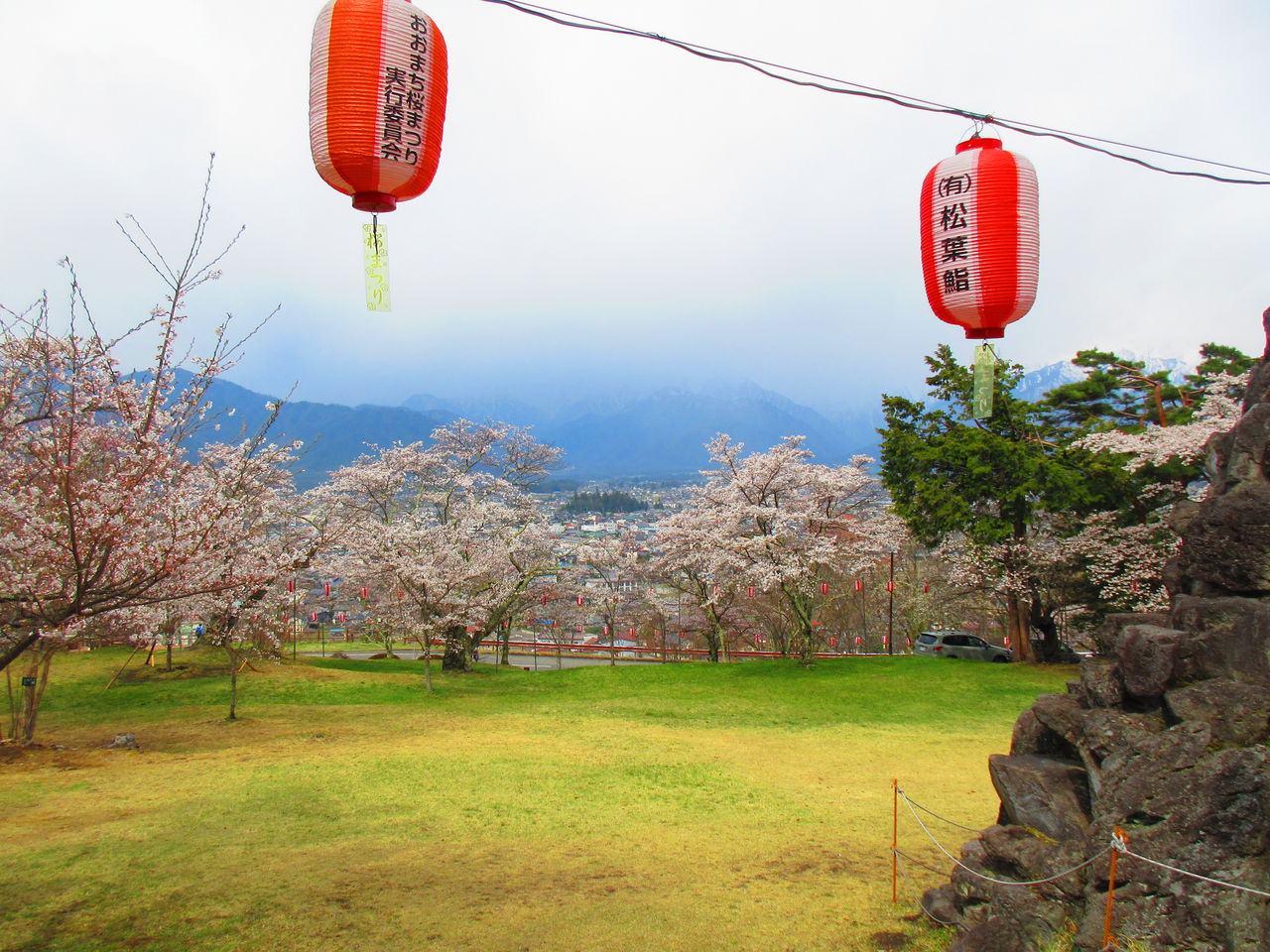大町公園 大町霊園の桜 呑ん子の放浪記