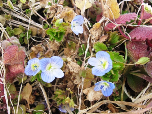 033-1