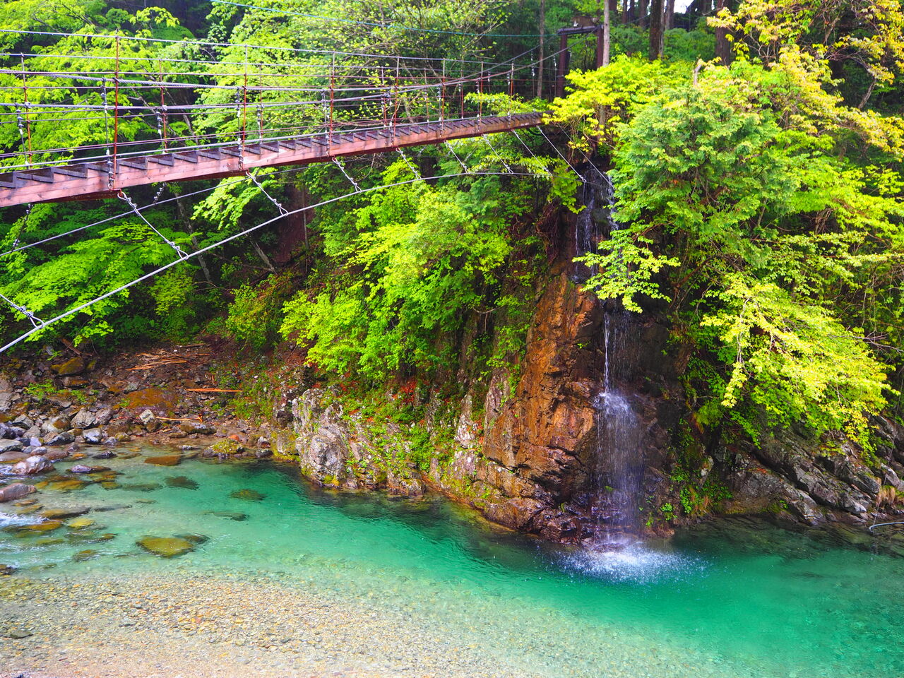 岩魚 の 里 峡