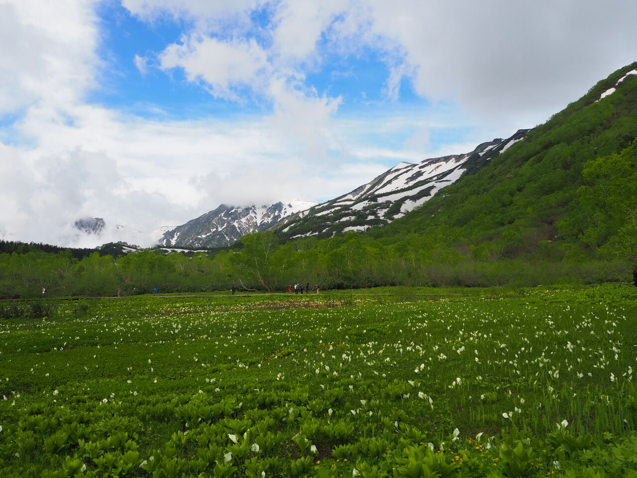栂池自然園 風景 呑ん子の放浪記