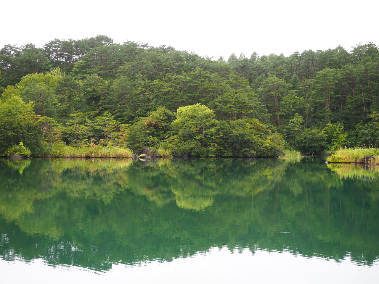 毘沙門沼 五色沼湖沼群 呑ん子の放浪記
