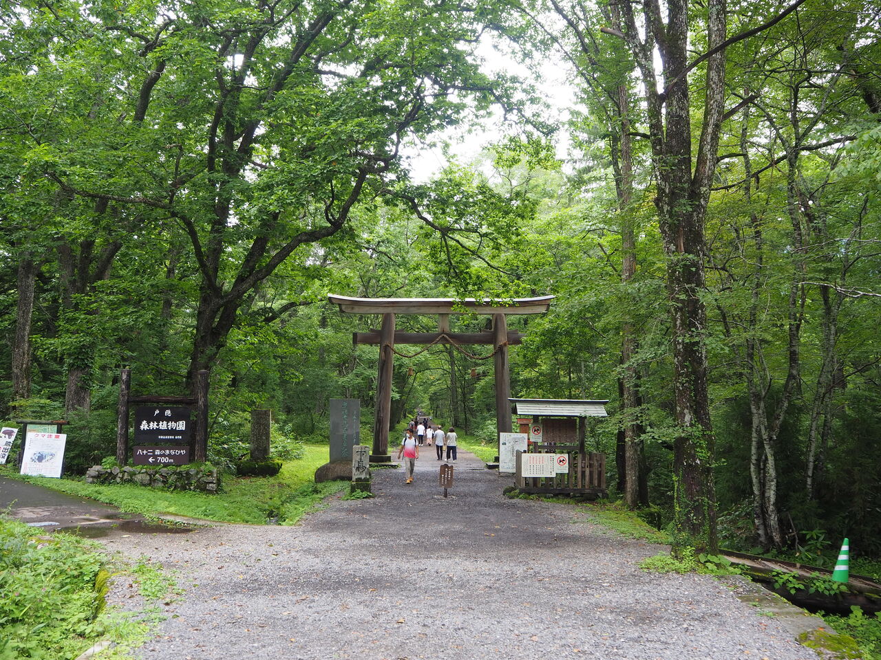 そばの花が満開 戸隠 呑ん子の放浪記