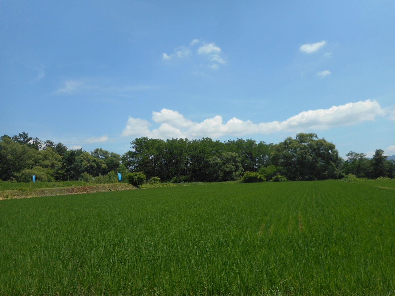 水面の風景 水の中の光 山間のモノリス 平田五郎 北アルプス国際芸術祭 呑ん子の放浪記