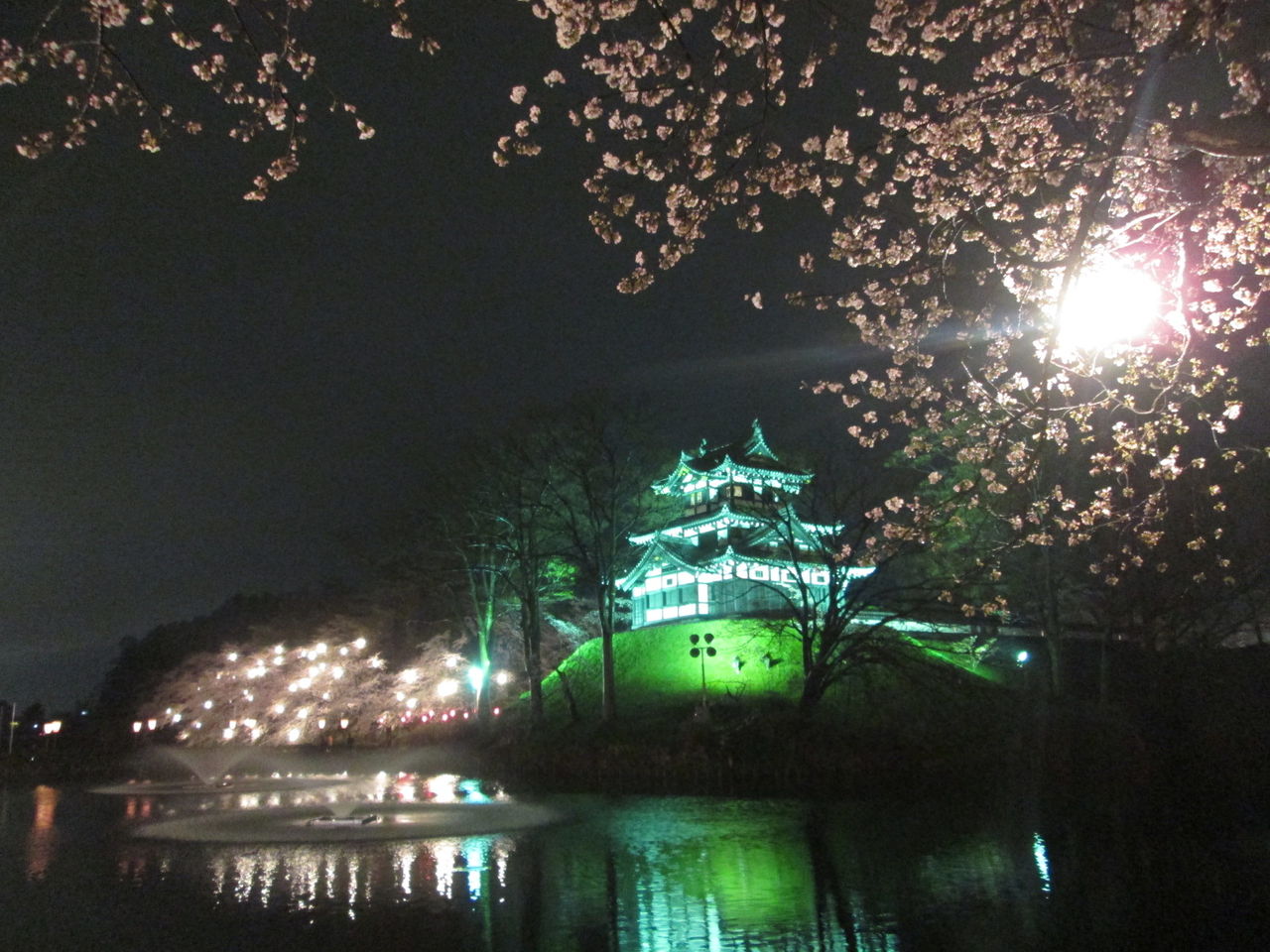 高田城百万人観桜会 素晴らしい夜桜 呑ん子の放浪記