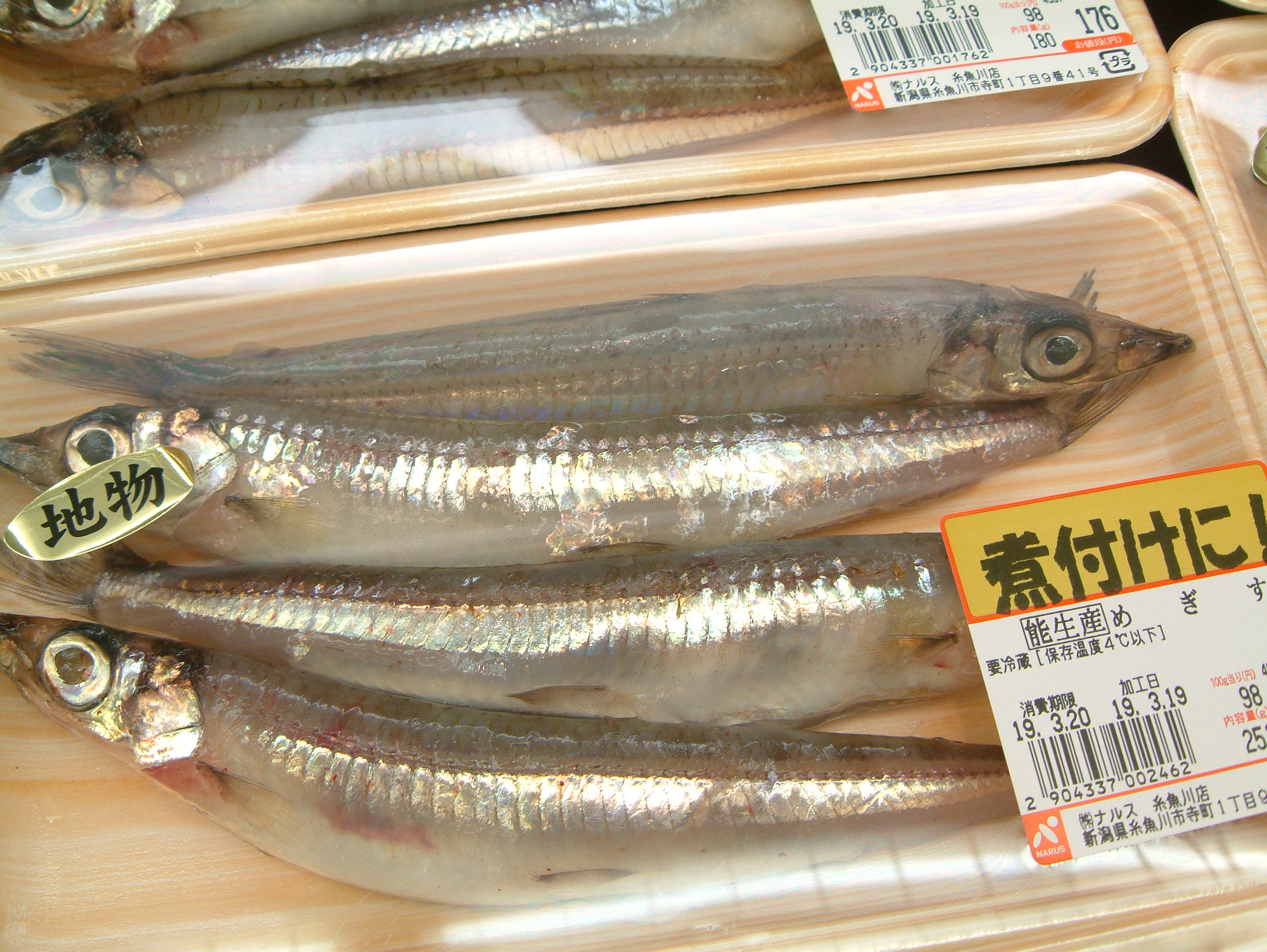 糸魚川の町 呑ん子の放浪記