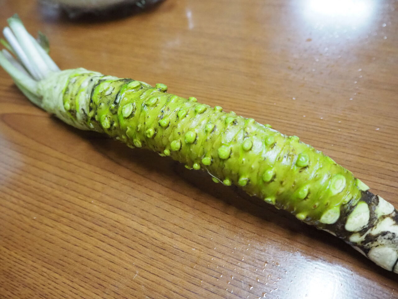 ホヤ祭りだよ 呑ん子の放浪記 ホヤ祭りだよ 呑ん子の放浪記