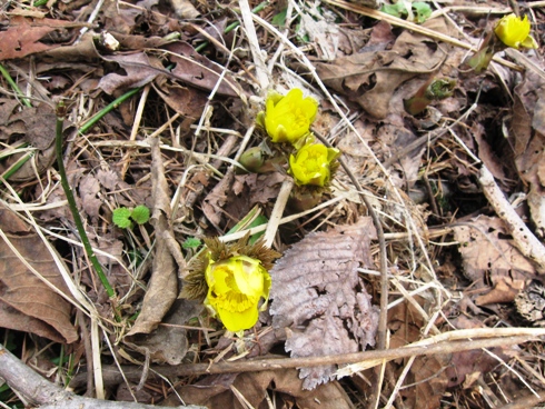 037-1
