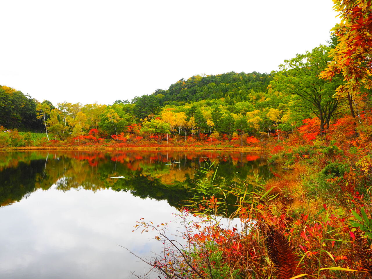 紅葉真っ盛りの志賀高原 呑ん子の放浪記 紅葉真っ盛りの志賀高原 呑ん子の放浪記
