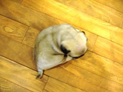 080-1