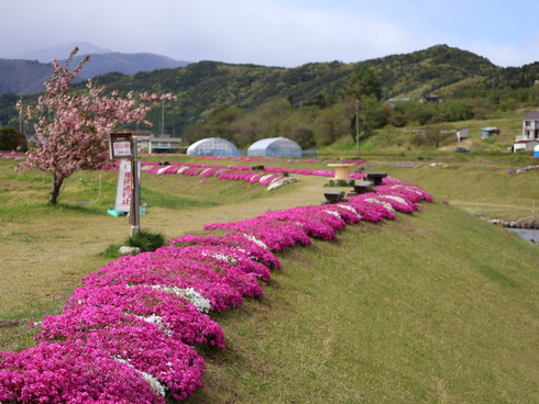 IMG_3257