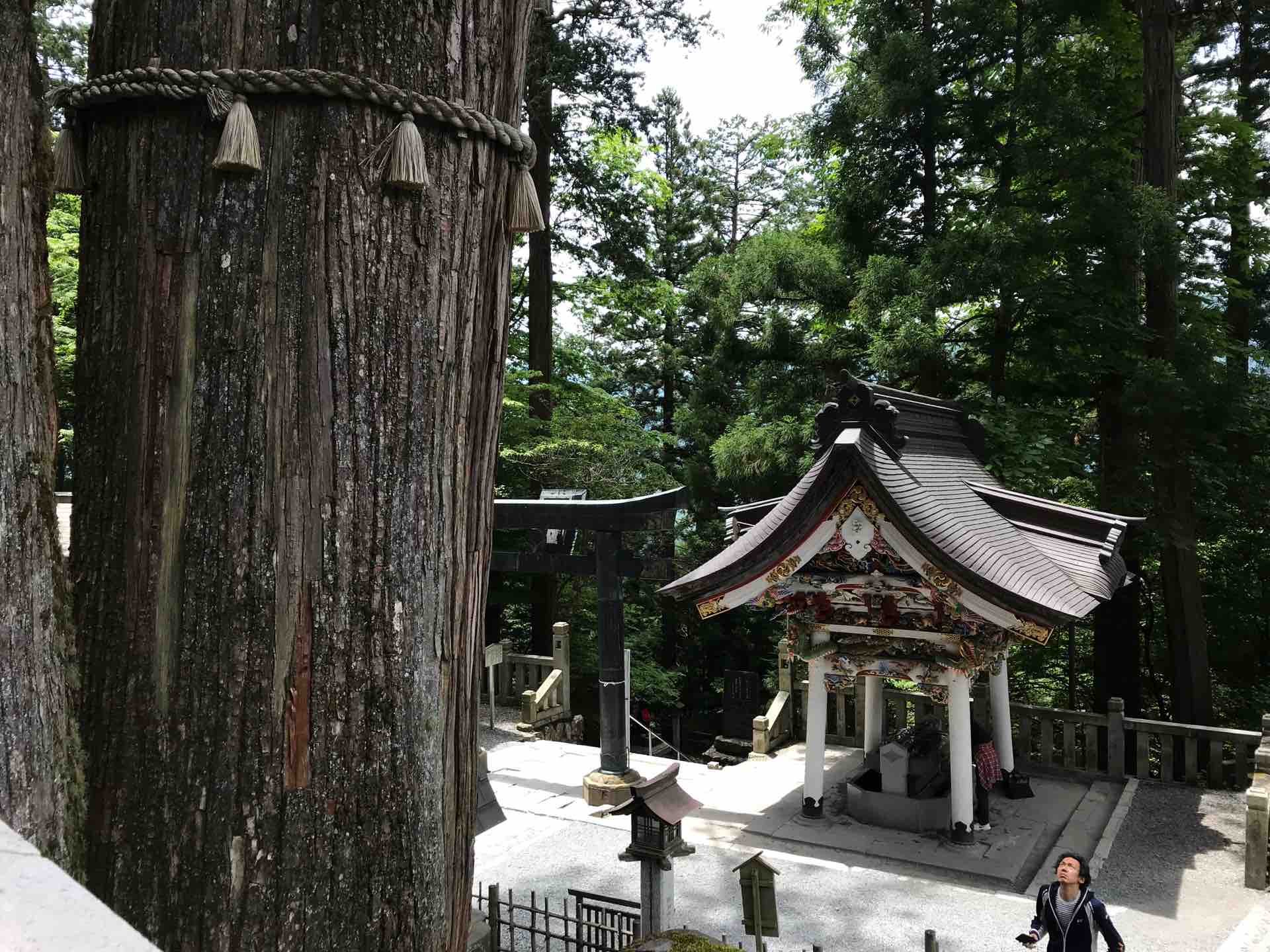 ライフスタイルを豊かにする Livedoor Blog ブログ ライフスタイルを豊かにする Livedoor Blog ブログ