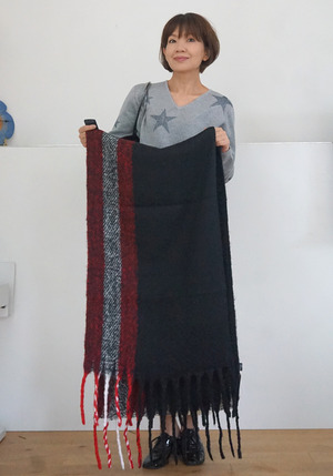 DSC04221