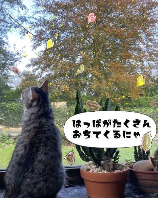 にゃるそっく2