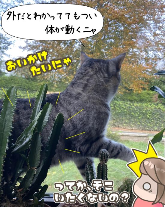 にゃるそっく4