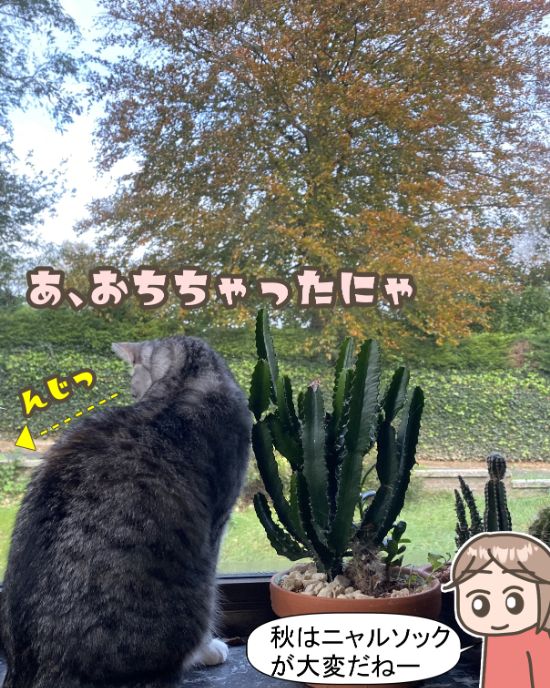 にゃるそっく3