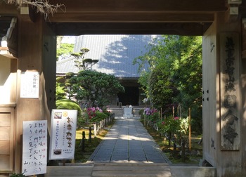 kokubunbotan (4)