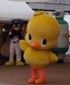 サニー13