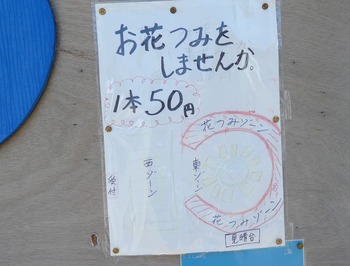 kou19