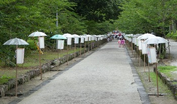 wanuke2