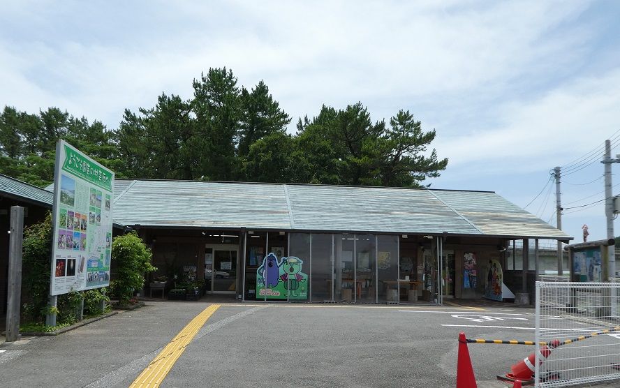 琴ヶ浜かっぱ市 : 高知のんのんお散歩
