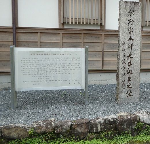 牧野富太郎ふるさと館 : 高知のんのんお散歩