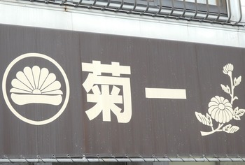 kiku1