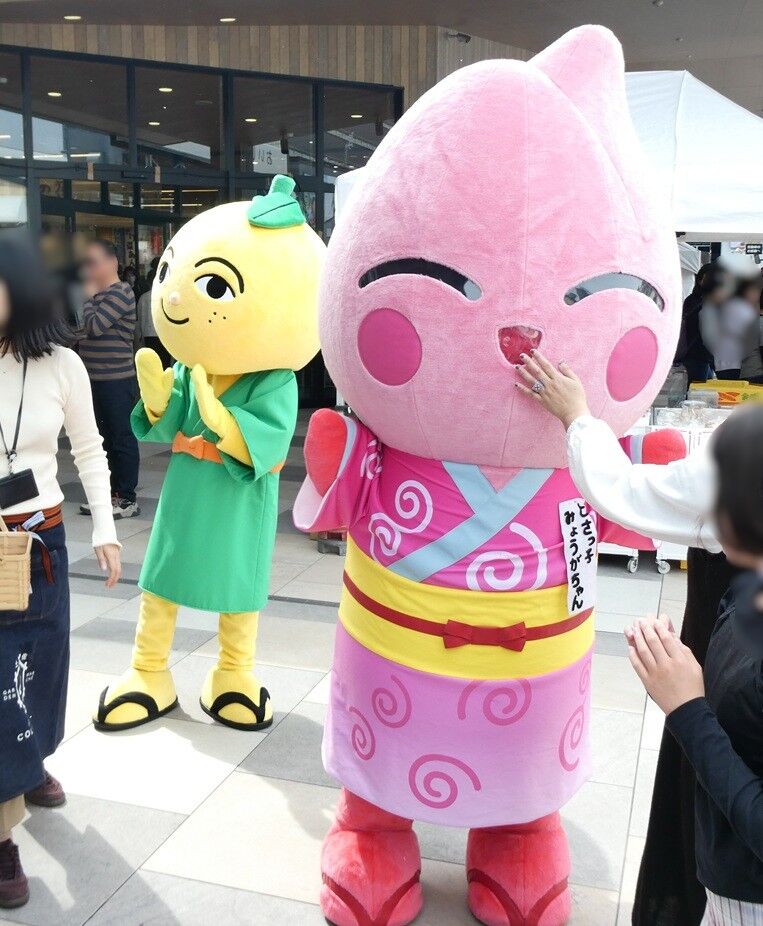 とさのさと 6周年祭へ : 高知のんのんお散歩