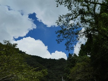 taruto15