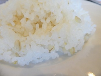 nisi14
