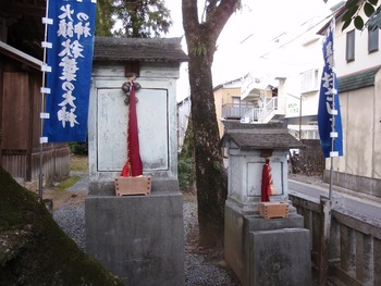 ozu6