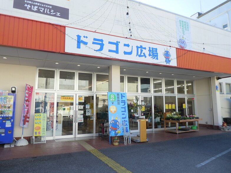 さかなの森澤ドラゴン広場店でお昼ごはん 高知のんのんお散歩